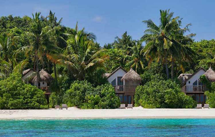 সোনিভা ফুশি : মালদ্বীপের এই বিচ হোটেলটি দেখতে সত্যিই বেশ সুন্দর। এটি মালদ্বীপের অন্যতম দর্শনীয় স্থান।