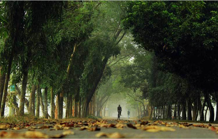 শাবিপ্রবি ক্যাম্পাসের এই প্রাকৃতিক সৌন্দর্য দেখলে সবার চোখে জুড়িয়ে যাবে।