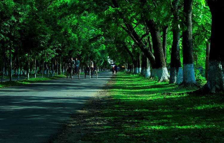 বিশ্ববিদ্যালয়ের চারপাশে সবুজ অরণ্য আর টিলায় ঘেরা প্রকৃতি যেন তার সৌন্দর্যকে কয়েকগুণ বাড়িয়ে দিয়েছে।