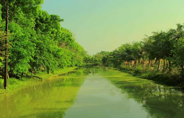 চোখজুড়ানো স্বচ্ছ পানির লেক ক্যাম্পাসকে করেছে আরও আকর্ষণীয়।