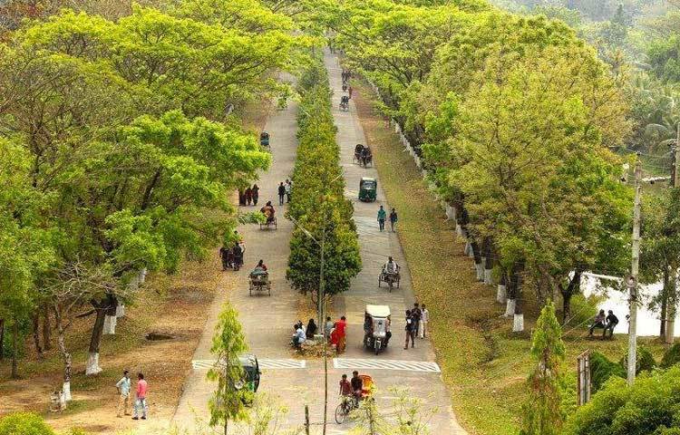 বিশ্ববিদ্যালয়ের প্রধান ফটক দিয়ে ভেতরে ঢুকতেই রাস্তার দুপাশে সারি সারি মেহগনি, কড়ই, জারুল, নারকেল গাছের নয়ানভিরাম দৃশ্যের সাথে নিজেদেরকে বিলীয়ে দেন কেউ কেউ।