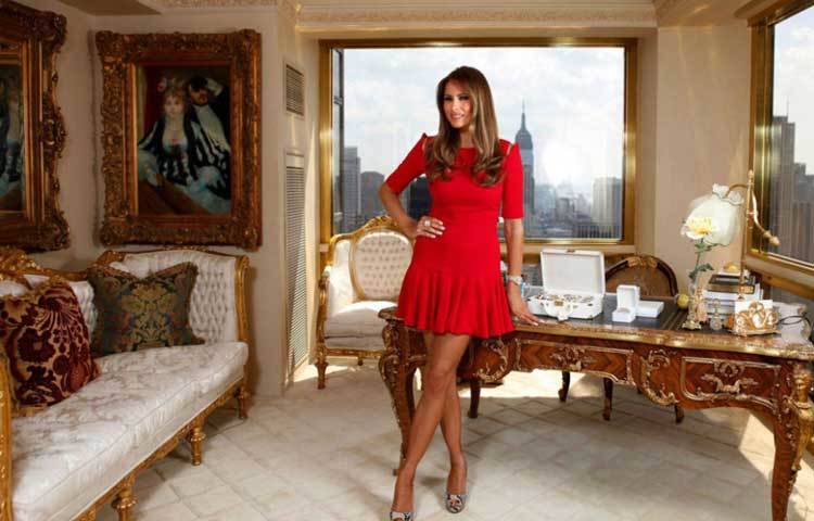 রিপাবলিকান কনভেনশনের প্রথম দিনে, স্বামী ডোনাল্ড ট্রাম্পের ক্যাম্পেইনে ভাষণ দিতে গিয়ে মেলানিয়ার বেশ কিছু কথার সঙ্গে মিশেল ওবামার কথার মিল পাওয়া গিয়েছিল।