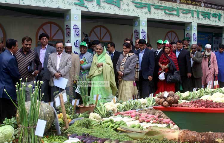 সবজির সবুজ রঙে সেজেছে রাজধানীর খামারবাড়ির আ. কা. মু গিয়াস উদ্দীন মিলকী অডিটরিয়াম প্রাঙ্গণ। দৃষ্টি আকর্ষণ করার মতো হরেক পদের সবজির সবুজ রঙ; ছুঁয়েছে বৈচিত্র্যতা। ছবি : বিপ্লব দিক্ষিৎ