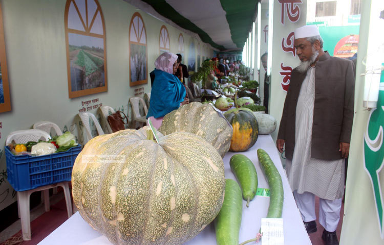 কোনো কোনো স্টলে বিক্রি হচ্ছে হরদম। আবার কিছু কিছু স্টলে কেবলই প্রদর্শনী। সবিজ মেলার আমেজ ছুঁয়েছিলো খামারবাড়ির সামনের রাস্তাতেও। ছবি : বিপ্লব দিক্ষিৎ