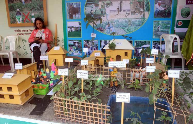 সবজি চাষের বাহারি প্রদর্শনী। ছবি : বিপ্লব দিক্ষিৎ