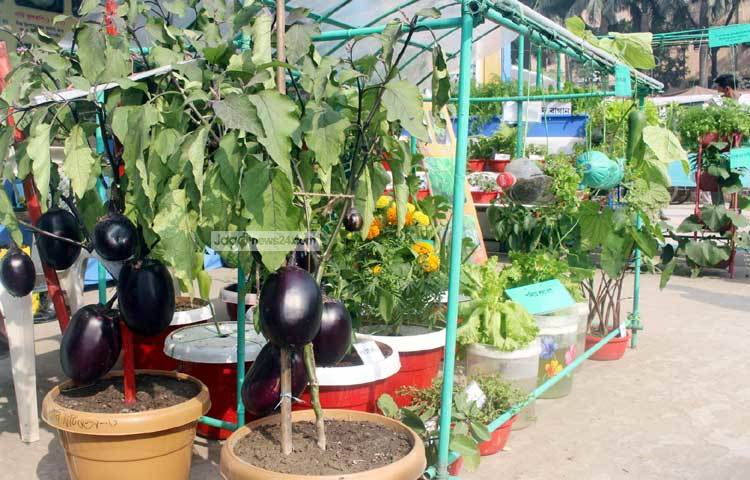 মেলা ঘুরে দেখা গেছে, মেলায় শুধু সবজি নয়, সাজানো হয়েছে হরেক পদের পসরা। বেশ কয়েকটি স্টলে মধু বিক্রি হচ্ছে হরদম। রয়েছে অর্গানিক সবজির দোকান। ছবি : বিপ্লব দিক্ষিৎ