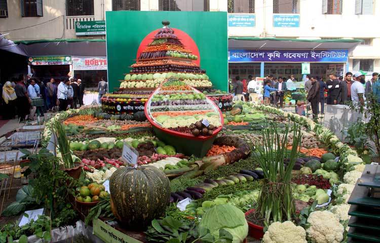দোকানীদের ভাষ্যমতে, কোনোপ্রকার কেমিক্যাল ব্যবহার ছাড়াই সম্পূর্ণ প্রাকৃতিক উপায়ে উৎপাদিত হয়েছে এসব সবজি। তাই দোকনগুলোতে সবজির কাটতিও বেশ। ফ্রেশ মার্টের স্টলে কথা হয় বিক্রয়কর্মী জেসমিন আক্তারের সঙ্গে। ছবি : বিপ্লব দিক্ষিৎ