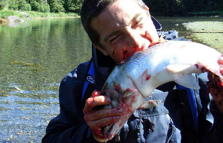 কাঁচা মাছ মাছ খাচ্ছেন বেয়ার গ্রিলস।