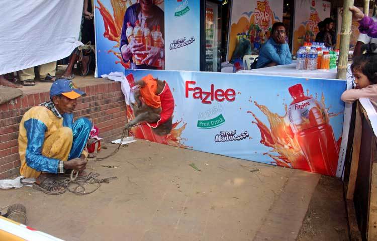 নবান্ন উৎসবে বানর খেলা দেখানো হচ্ছে। ছবি : বিপ্লব দিক্ষিৎ