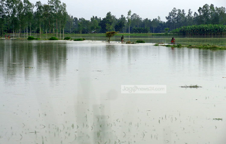 পানি কমে যাওয়ায় জেগে উঠতে শুরু করেছে রাস্তা-ঘাট। জেলা প্রশাসনের দেওয়া সর্বশেষ তথ্যানুযায়ী গাইবান্ধা সদর, সুন্দরগঞ্জ, ফুলছড়ি, সাঘাটা, পলাশবাড়ী, গোবিন্দগঞ্জ ও সাদুল্লাপুর উপজেলার ৫৩টি ইউনিয়ন ও একটি পৌরসভা প্লাবিত হয়েছে। ছবি : রওশন আলম পাপুল