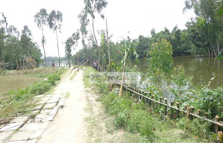 জেলার সাত উপজেলার ২১ হাজার ৫৭২ হেক্টর জমির ফসল বন্যার পানিতে নিমজ্জিত হয়েছে। বন্যার কারণে ১ হাজার ৩৬০টি পুকুরের মাছ ভেসে গেছে। ৮৭টি শিক্ষা ও ৮টি ধর্মীয় প্রতিষ্ঠান আংশিক ক্ষতিগ্রস্থ হয়েছে। ছবি : রওশন আলম পাপুল