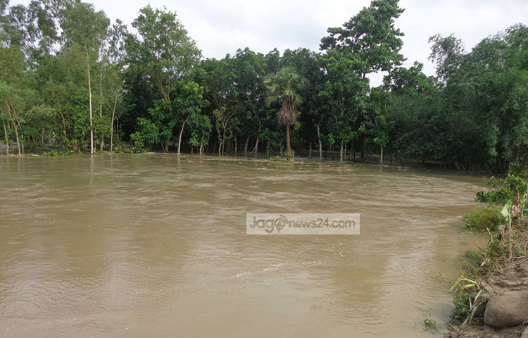 গাইবান্ধা পানি উন্নয়ন বোর্ডের (পাউবো) নির্বাহী প্রকৌশলী মো. মাহবুবুর রহমান মুঠোফোনে বলেন, ব্রহ্মপুত্র নদ, ঘাঘট ও তিস্তা নদীর পানি কমছে। শুধু করতোয়া নদীর পানি বাড়ছে। বাঁধের ঝুঁকিপূর্ণ স্থানগুলোতে মেরামত কাজ চলছে। ছবি : রওশন আলম পাপুল