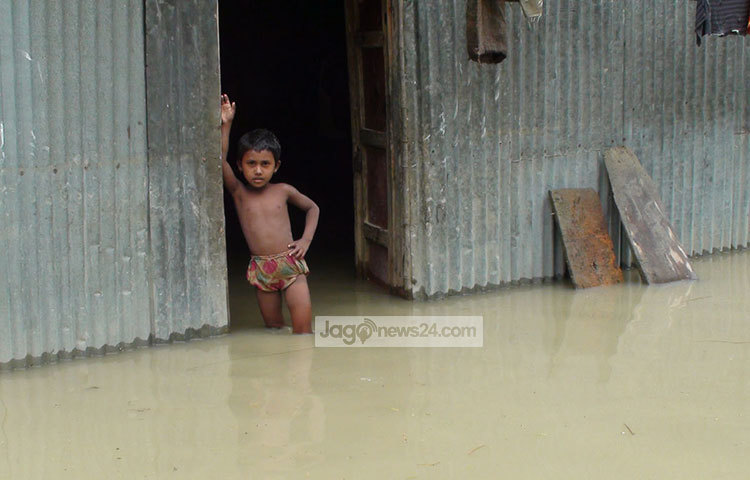 জামালপুরের ইসলামপুরের চিনাডুলি ইউনিয়নের বলিদাহ গ্রামে পানিতে প্লাবিত একটি ঘর। ছবি : শুভ্র মেহেদী