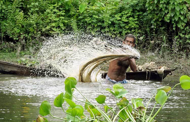 পাট ধোয়ার কাজে ব্যস্ত এক চাষী। এ বছর পাটের চাষ ভালো হওয়ায় মুন্সীগঞ্জের পাট চাষীদের মনে আনন্দ বয়ে যাচ্ছে। ছবি : বিপ্লব দিক্ষিৎ