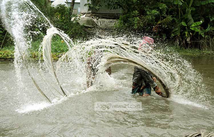 মুন্সীগঞ্জ গেলে গ্রামে গ্রামে এখন পাট ধোয়ার এমন দৃশ্য চোখে পড়বে। ছবি : বিপ্লব দিক্ষিৎ