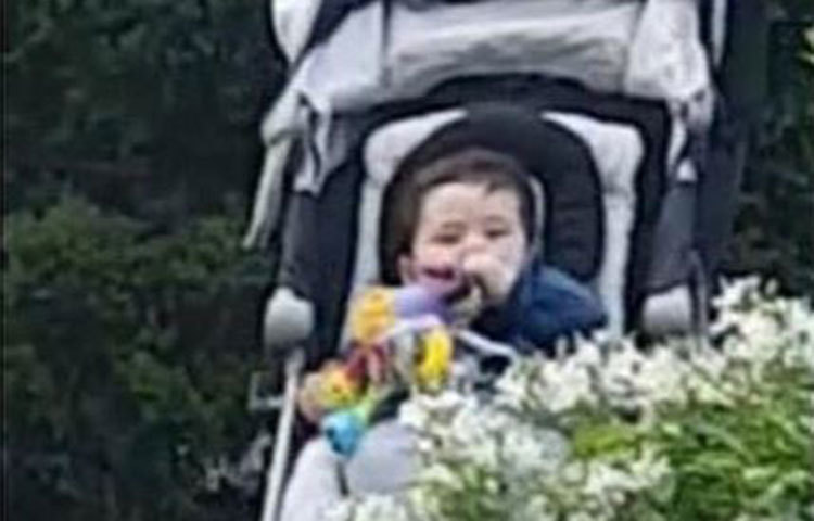 মায়ের সঙ্গে ভ্রমণে ব্যস্ত তৈমুর। বাবা-মায়ের মত তৈমুরের এখনই অনেক ভক্ত-অনুসারী হয়েছে।