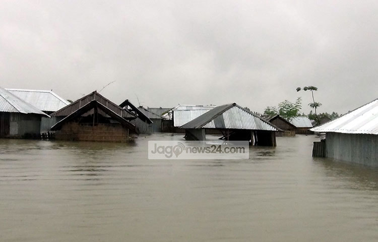 কুড়িগ্রামের ভোগডাঙ্গা ইউনিয়নের জগমোহনের চর গ্রাম এখন থৈ থৈ পনির নিচে তলিয়ে আছে।