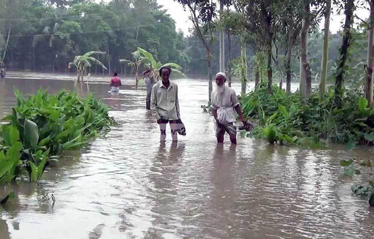 নওগাঁর রাস্তাঘাট ডুবে নদীতে পরিণত হয়েছে। পানিবন্দি হয়ে পড়েছে এ জেলার হাজার মানুষ। ছবি : আব্বাস আলী