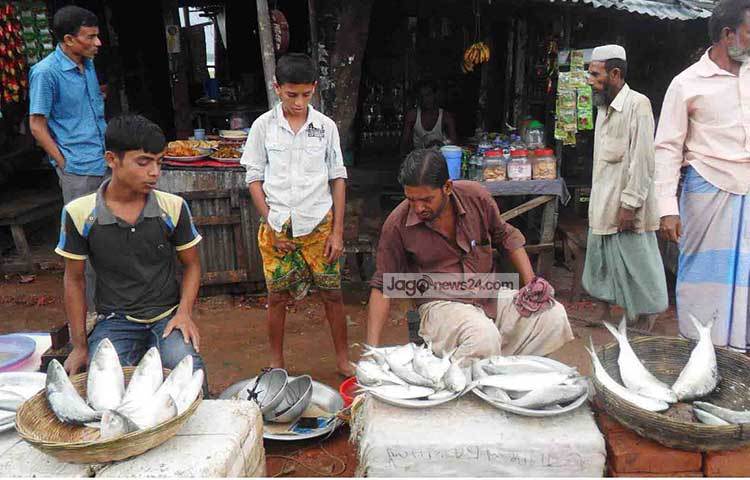 পিরোজপুরের চড়খালীর ফেরিঘাটে মাছ বিক্রেতারা ইলিশের পসরা সাজিয়ে বসেছেন।