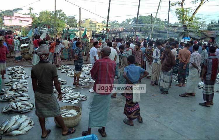 পাড়েরহাট মৎস্য বন্দর ইলিশ কেনা-বেচায় সরগরম। এখান থেকে খুচরা বিক্রেতারা পাইকারি মূল্যে ইলিশ কিনে নিয়ে যায়। ছবি : হাসান মামুন