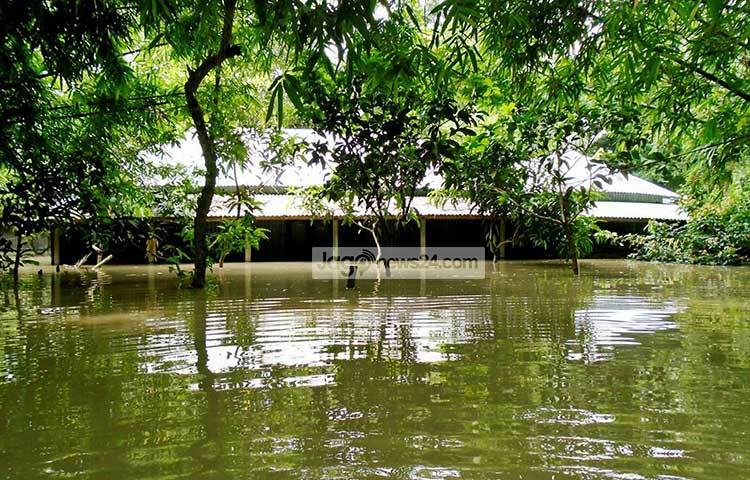 বন্যায় জলমগ্ন হয়ে আছে সিরাজগঞ্জের গ্রামের পর গ্রাম। পানি উন্নয়ন বোর্ডের হিসেব অনুযায়ী গত ২৪ ঘণ্টায় জেলা পয়েন্টে যমুনার পানি ২০ সেন্টিমিটার বৃদ্ধি পেয়ে বিপৎসীমার ১৪৬ সেন্টিমিটার ওপর দিয়ে প্রবাহিত হচ্ছে। ছবি : ইউসুফ দেওয়ান রাজু
