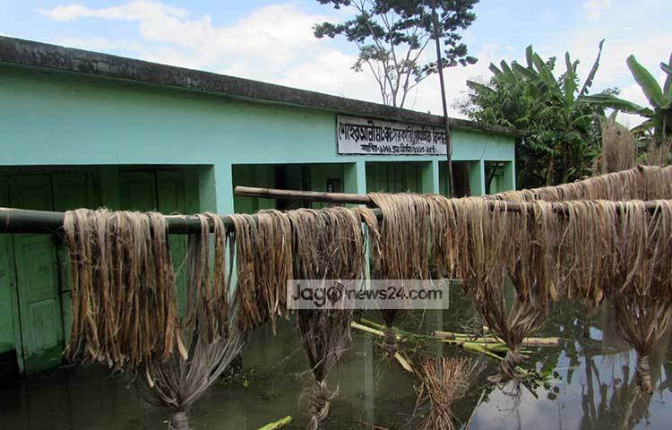বন্যাকবলিত স্কুল শিক্ষার্থী তানভীর, রেজাউল, সোনিয়াসহ অন্যরা জানান, প্রতি বছরই বন্যার সময় পাঠদান ও পরীক্ষা কার্যক্রম বন্ধ থাকে। ছবি : মো. ছগির হোসেন