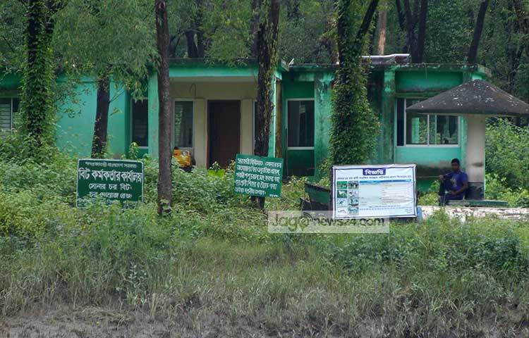 সোনারচরে আছে বিশাল বনাঞ্চলে সুন্দরবনের আমেজ। এ রক্ষাণাবেক্ষণের দায়িত্বে রয়েছে সরকারের বন বিভাগ। ছবি : মহিব্বুল্লাহ্ চৌধুরী