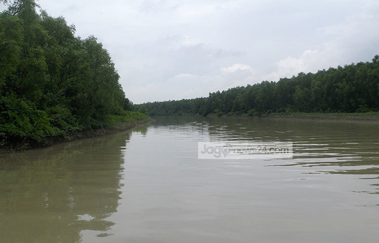 সোনারচরের অভ্যন্তরে খালের দুইপাশের বন যেন সবুজ বনবনানী দেয়াল হয়ে দাঁড়িয়ে আছে। এখানে এলে দেখা যাবে হরিণের পাল ছোটাছুটি করছে। ছবি : মহিব্বুল্লাহ্ চৌধুরী