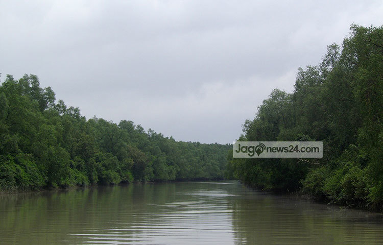 এখানকার সবুজের হাতছানিতে প্রকৃতিপ্রেমিকরা ছুটে আসেন। ভ্রমণকারীরা নিমেষেই হারিয়ে যান সবুজের রাজ্যে। ছবি : মহিব্বুল্লাহ্ চৌধুরী
