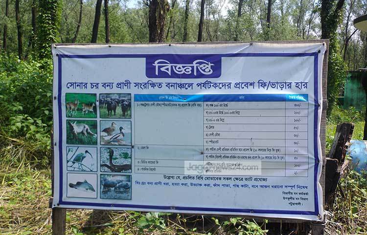 বন বিভাগের নিয়ম-কানুন মেনে সোনারচরের এই অংশে ভ্রমণ করতে হয়। ছবি : মহিব্বুল্লাহ্ চৌধুরী