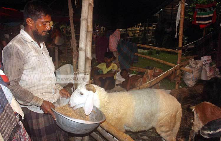পশুকে খাবার খাওয়াচ্ছেন এক ব্যবসায়ী। অন্যদিকে ক্লান্ত দুই ব্যবসায়ী শুয়ে বিশ্রাম নিচ্ছেন। ছবি : বিপ্লব দিক্ষিৎ