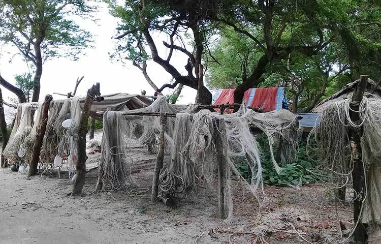 চরগঙ্গামতি জেলেপাড়ায় নিরাপদে রাখা ইলিশের জাল। ছবি : কাজী সাঈদ
