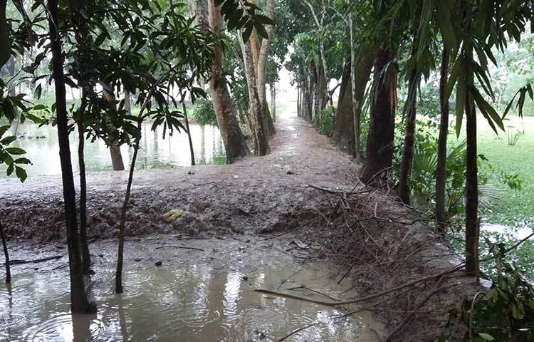 বৃষ্টি ভেজা এই পথ মিলেছে সুদূরে। সত্যিই ‘এই পথ যদি না শেষ হয়’। ছবি : মাসুদ রানা