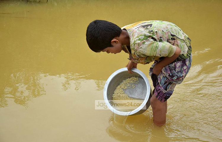 ভাত রান্না করার জন্য চাল ধুইছে শিশুটি। এখন খুদা মেটানোই যেন তার একমাত্র কাজ। ছবি : মাহবুব আলম