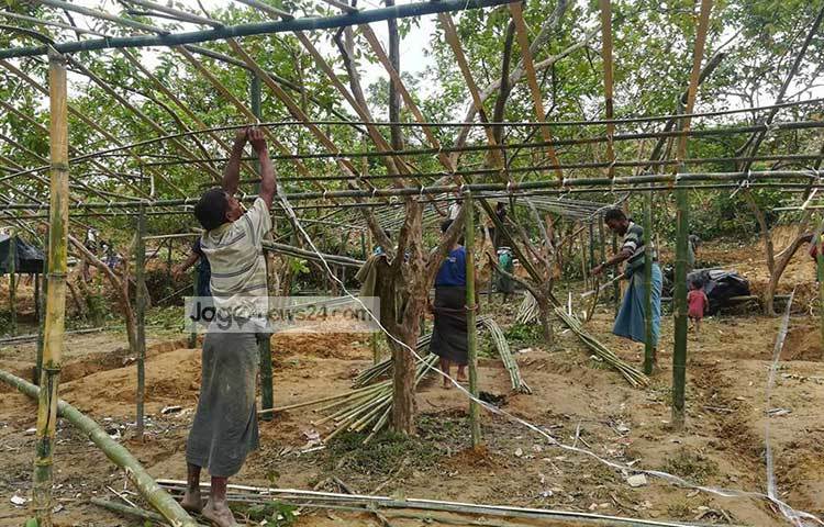 বাংলাদেশে নতুন বসতি বাধার কাজে ব্যস্ত এই রোহিঙ্গারা। ছবি : মাহবুব আলম
