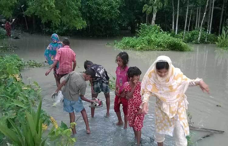 অতিরিক্ত বর্ষা ও জোয়ারের পানিতে প্লাবিত পিরোজপুরসহ উপকূলের নিম্নাঞ্চল। রাস্তা ডুবে যাওয়ায় ভোগান্তিতে পড়েছে সাধারণ মানুষ। ছবি : হাসান মামুন