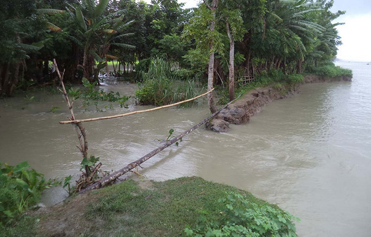 পিরোজপুর জেলার কাউখালি উপজেলার শিয়ালকাঠী ইউনিয়নের ফলইবুনি এলাকা পানির তোড়ে ভাঙনের মুখে পড়েছে। ছবি : হাসান মামুন