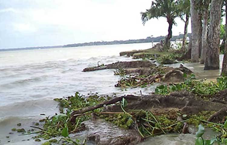 পিরোজপুর জলার সাত উপজেলার মধ্যে মঠবাড়িয়া, ভান্ডারিয়া ও ইন্দুরকানী এলাকা ঘুরে দেখা গেছে, চর সমূহ এবং নিচু এলাকার মানুষ পানিবন্দি হয়ে পড়েছে। ছবি : হাসান মামুন