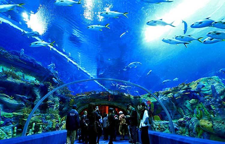 অ্যাকুরিয়াম অফ ওয়েস্টার্ন অস্ট্রেলিয়া : বিশ্বসেরা অ্যাকুরিয়ামের মধ্যে এটি সবচেয়ে সুন্দর। এটি দেখতে বিশ্বের নানা প্রান্ত থেকে পর্যটকরা ছুটে আসেন।