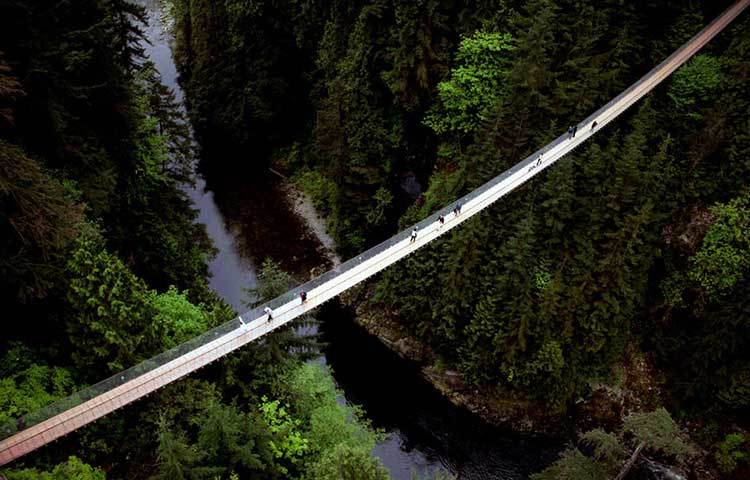 &lsquo;ক্যাপিলানো সাসপেনশন ব্রিজ&rsquo; নামের এই সেতুটি কানাডায় অবস্থিত। ভয়ঙ্কর হলেও এই সেতুটি দেখতে অনেক সুন্দর।