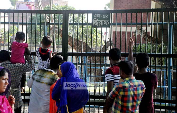 খাঁচার ফাঁকা দিয়ে বাচ্চাদের জিরাফ দেখাতে ব্যস্ত তাদের অভিভাবকরা। জিরাফ দেখে শিশুরা আনন্দ করছে। ছবি : বিপ্লব দিক্ষিৎ