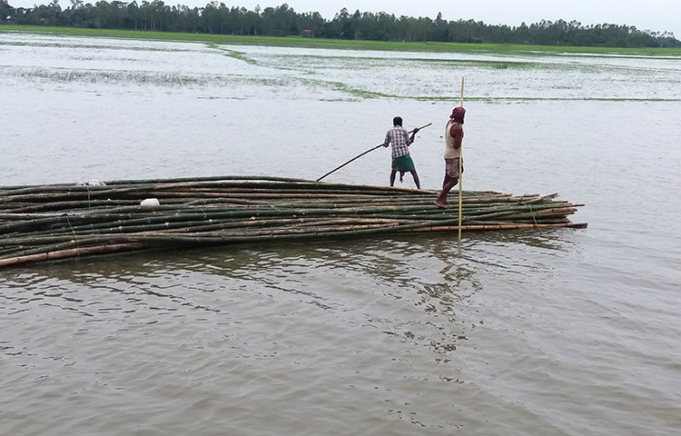 হাওরের শান্ত জলে বাঁশ ভাসিয়ে নিয়ে যাওয়া হচ্ছে। এ অঞ্চলের মানুষের জীবীকা নির্বাহের অন্যতম অনুষঙ্গ হচ্ছে সুমাই হাওর। ছবি : রাকিব ছিদ্দিকী