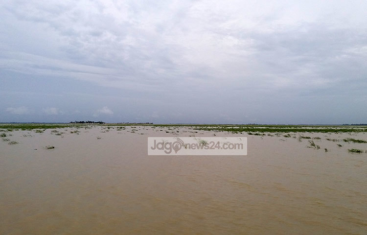 হাওরের এই অপরূপ দৃশ্য দেখতে দেশের নানা প্রান্ত থেকে ছুটে আসেন ভ্রমণ পিপাসুরা। ছবি : রাকিব ছিদ্দিকী