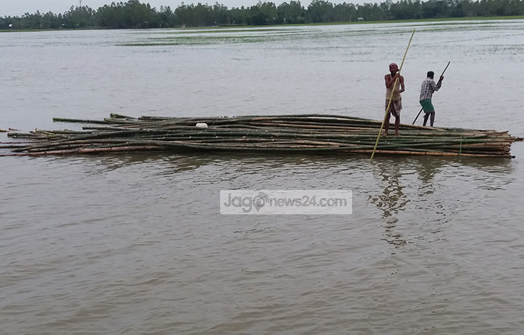 বাঁশের ভেলায় ভাসছেন দুজন। এভাবেই বাঁশ ভাসিয়ে নিয়ে যাওয়া হচ্ছে হাওরের এক প্রান্ত থেকে অন্যপ্রান্তে। ছবি : রাকিব ছিদ্দিকী