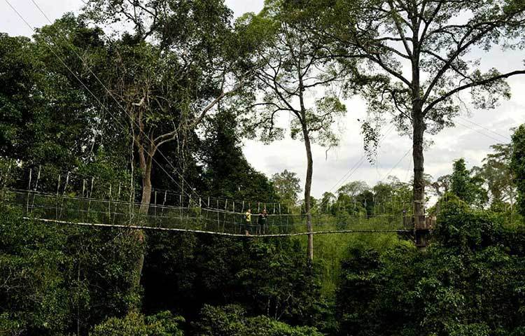 &lsquo;তামন নাগারা&rsquo; নামের এই সেতুটি মালয়েশিয়ায় অবস্থিত। এই সেতুটিও পাহাড়, বন-জঙ্গলের মধ্যে দিয়ে নির্মাণ করা হয়েছে।