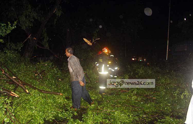 অল্প সময়ের ঝড়ে বিপুল পরিমাণ গাছ ভেঙ্গে পড়ার ঘটনায় অনেক পথচারী বিস্ময় প্রকাশ করেছেন। ছবি : বিপ্লব দিক্ষিৎ
