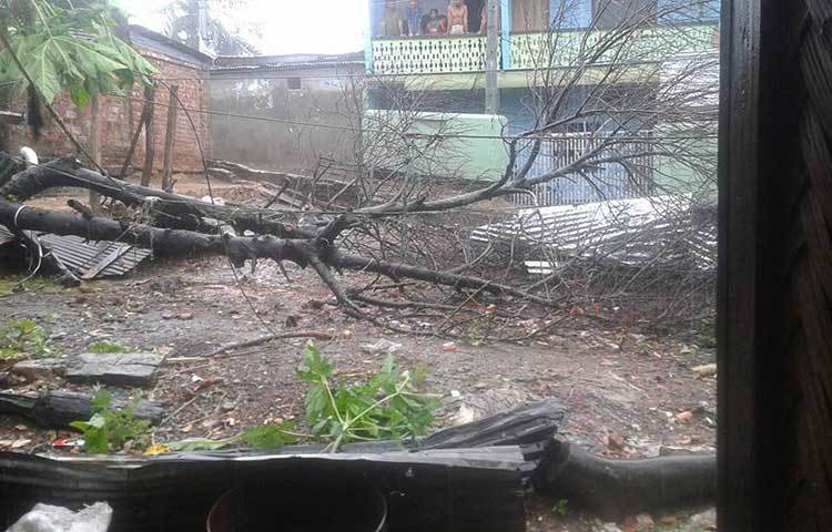 এলাকাবাসী জানান, তাদের চোখের সামনে মুহূর্তেই ভেঙ্গে পড়েছে এসব গাছ।