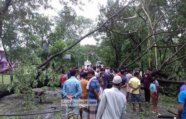 ঘূর্ণিঝর মোরা&rsquo;র আঘাতে কক্সবাজার অঞ্চলের বিপুল পরিমাণ গাছপালার ক্ষয়ক্ষতি হয়েছে। রাস্তার দুই পাশের গাছ ভেঙ্গে পড়ায় যানবাহন চলাচলে বিঘ্ন ঘটেছে।