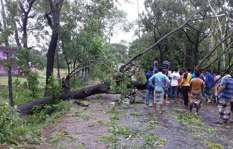 কক্সবাজারের বিভিন্ন শ্রেণির মানুষ রাস্তার উপর ভেঙ্গ পড়া গাছ সরানোর কাজে অংশ নিয়েছে।