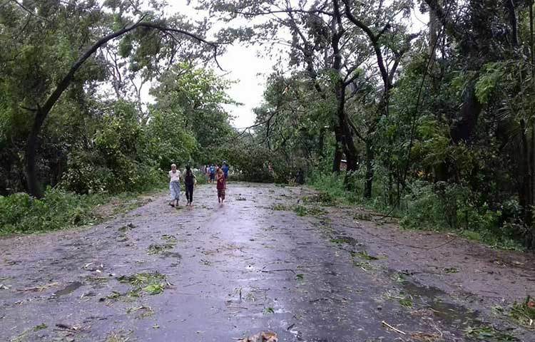 কোনো কোনো রাস্তার উপর ভেঙ্গে পড়া গাছ এরইমধ্যে সরিয়ে নেওয়া হয়েছে।